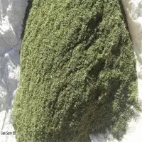 Dry Dill Tips