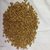 Fenugreek Seeds