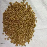 Fenugreek Seeds