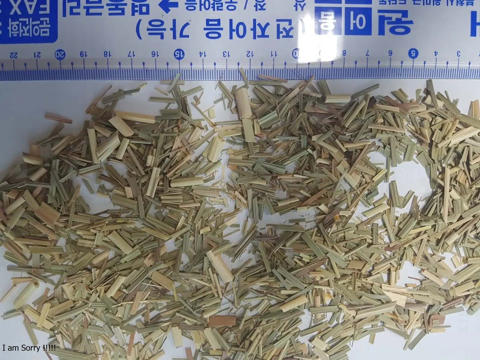 Lemon Grass