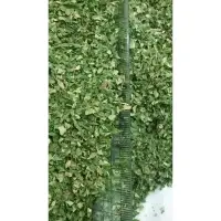 Dried Parsley Leaves