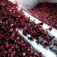 Dried Hibiscus
