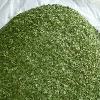 Dehydrated Parsley Leaves