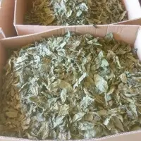 Dry Molokhia Leaves