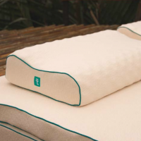 Airflow Contour Latex Pillow