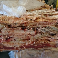 Cod Backbone
