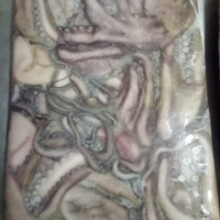 Frozen octopus