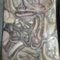 Frozen octopus