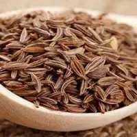 Cumin Seed
