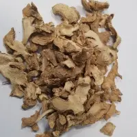 Ginger