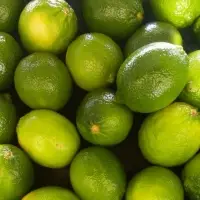 Persian Lime