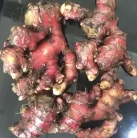 Ginger