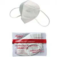 RY9500-KN95 Fold Flat Particulate Respirator