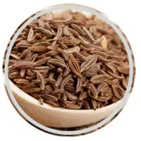 Caraway