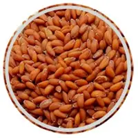 Garden Cress Seed