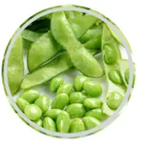Bean