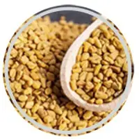 Fenugreek Seeds