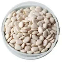 Lima Bean