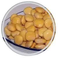 Lupini Bean