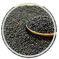 Basil Seeds