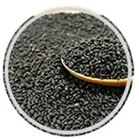 Basil Seeds