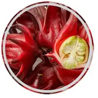Roselle