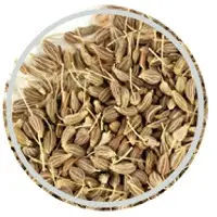 Anise