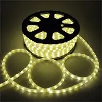 LED Neon Lights