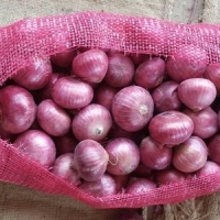 Pakistani Onions