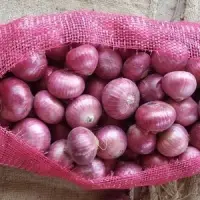 Pakistani Onions