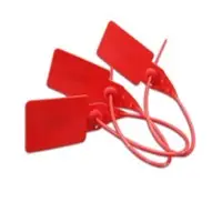 Customs Cargo Seal