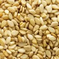 Sesame Seeds
