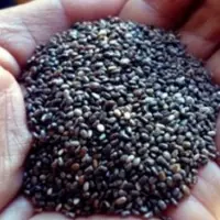 Black Conventional Chia Seeds