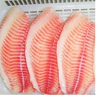 Farm Raised Frozen Bulk Catfish Fillet