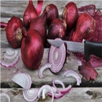 Onion