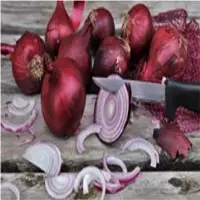 Onion