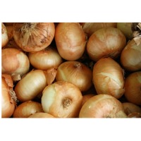 Onion