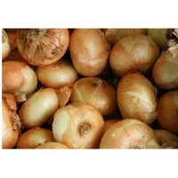 Onion