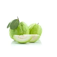 Guava