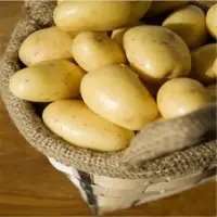 Fresh Potatoes