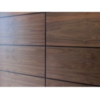 Internal Cladding