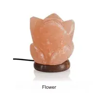 Usb Salt Lamps