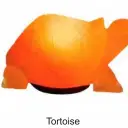 Wild Life Salt Lamps