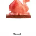 Wild Life Salt Lamps