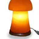 USB Salt Lamps