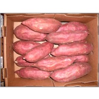 Sweet Potato