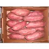 Sweet Potato