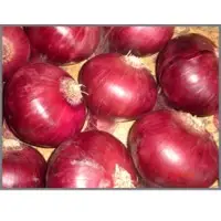 Onion