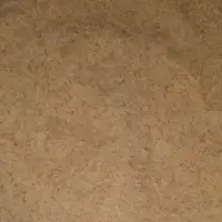Golden 1121 Basmati Rice