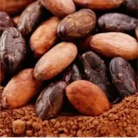 	Cacao Products